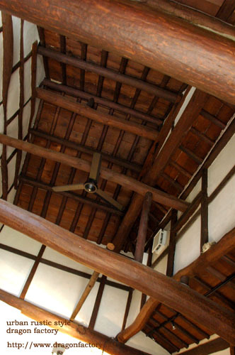 2010.1.21.3.jpg
